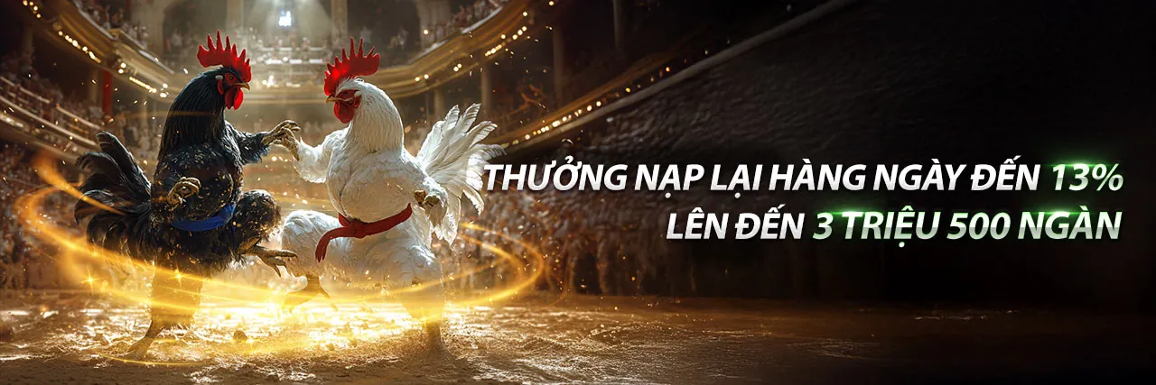 Đá gà trực tuyến gg8815 với trận đấu kịch tính